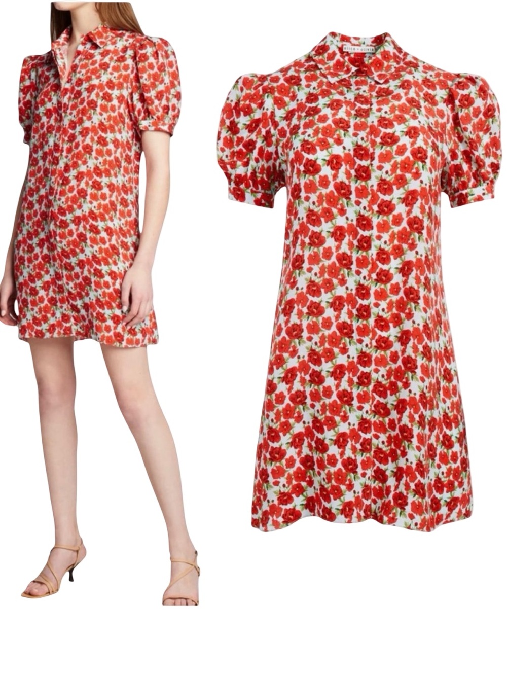 Alice + Olivia Jem Floral Shirt Dress Size Large Red Blue Brunch Casual